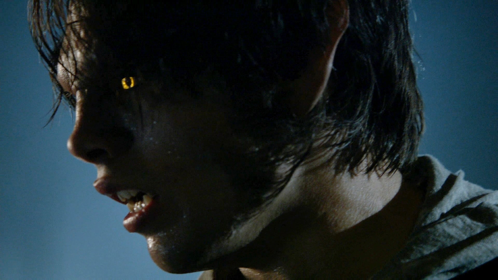 Image Teen Wolf (2011) 1